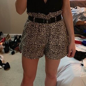 Akira leopard high waist shorts with belt detail